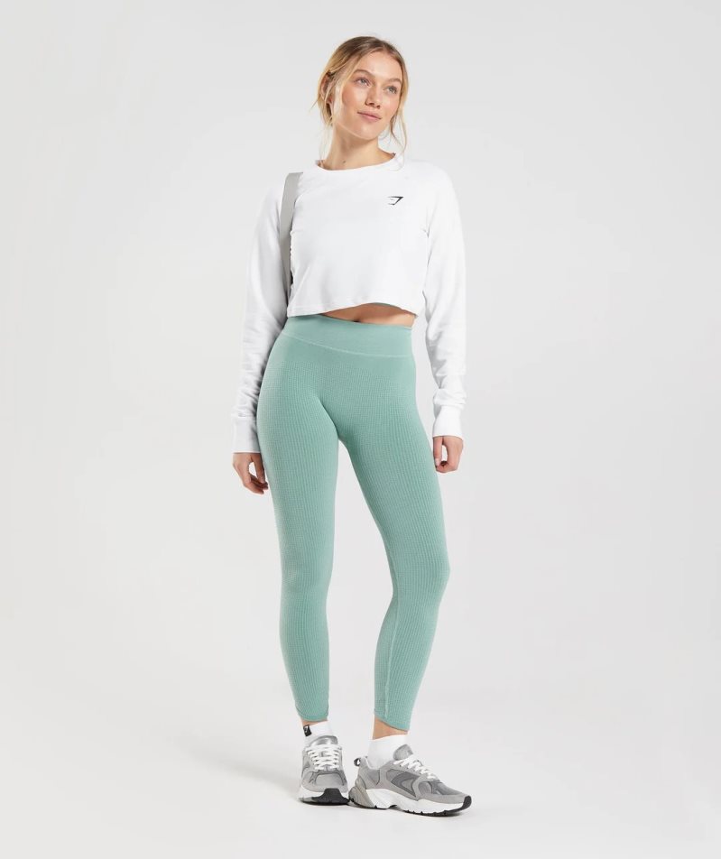 Women's Gymshark Pause Seamless Leggings Light Green | CA 8D1N36